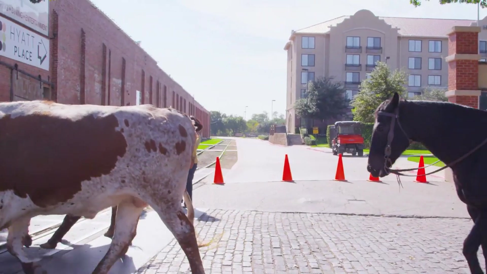 'Video thumbnail for Top 10 Cheap Texas towns you can buy a house for under $200,000.'