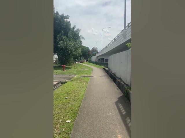 Video thumbnail for Somewhere in Singapore