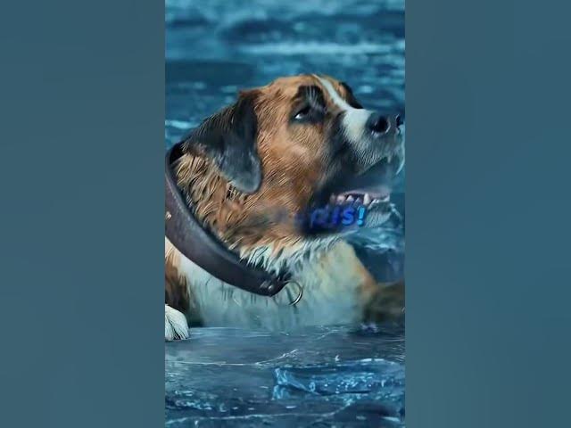 Video thumbnail for if you believe in God good will happen 🙏🙏🙏