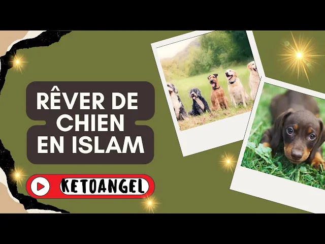 'Video thumbnail for Rêver de chien signification interprétation en islam'