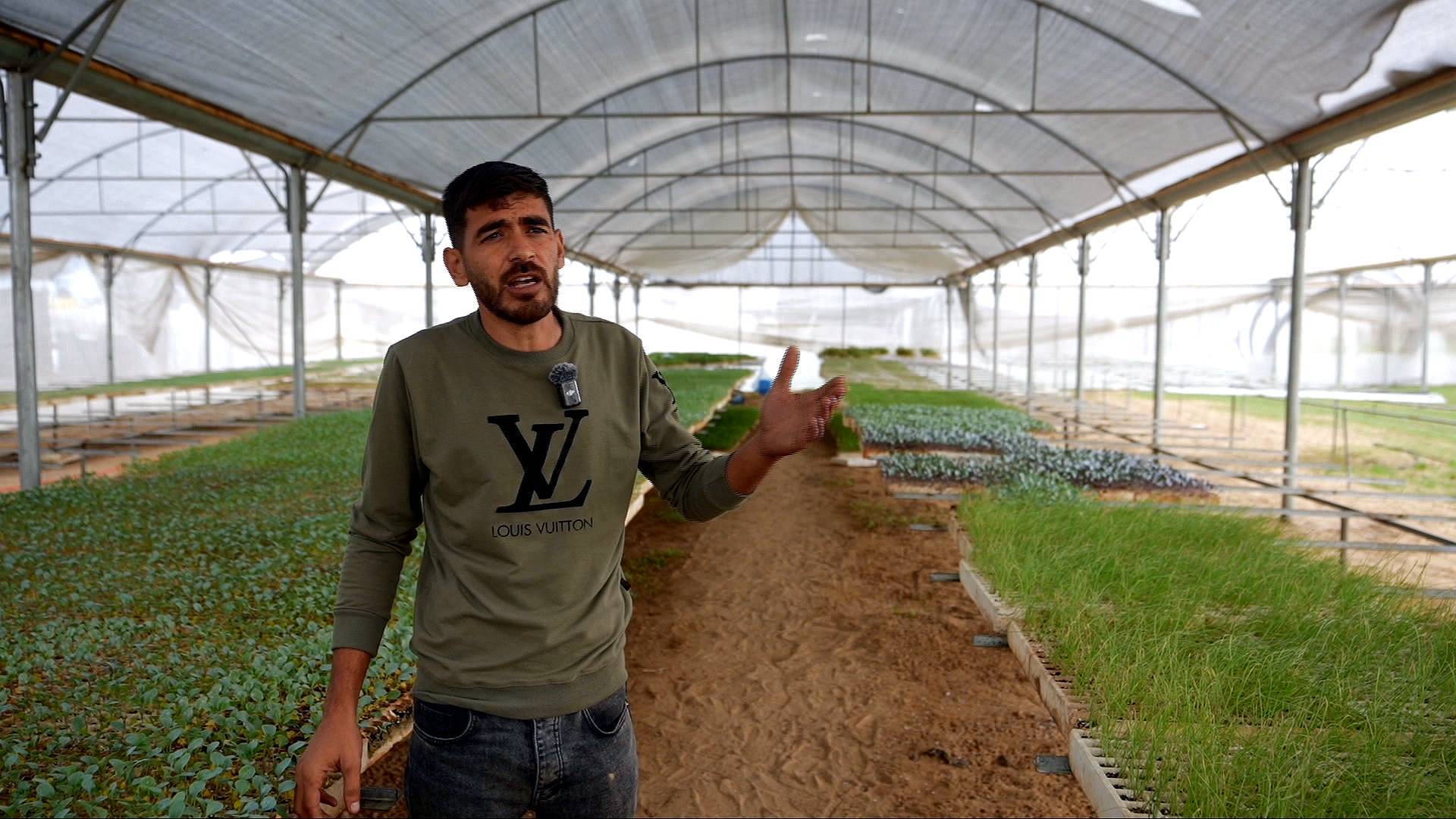 Video thumbnail for Gaza farmers revive shattered fields as war-ravaged agriculture fights for survival