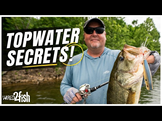 Video thumbnail for Lawyer's Morning Topwater Fishing Secrets for Bass