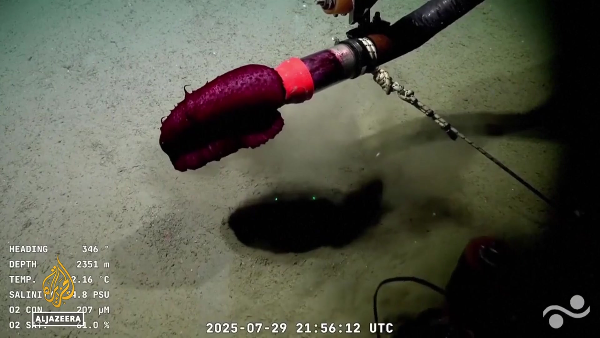 'Video thumbnail for South Atlantic Ocean livestream: Argentinian project finds worldwide audience'
