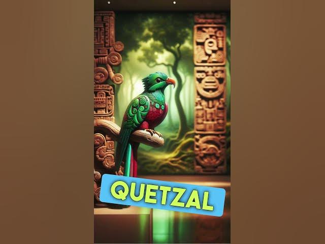 Video thumbnail for "Misterios del Quetzal: El Ave Sagrada que Desafía el Tiempo" #quetzal #aves