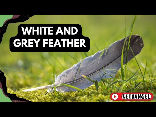 'Video thumbnail for The Spiritual Meaning of White and Grey Feathers'