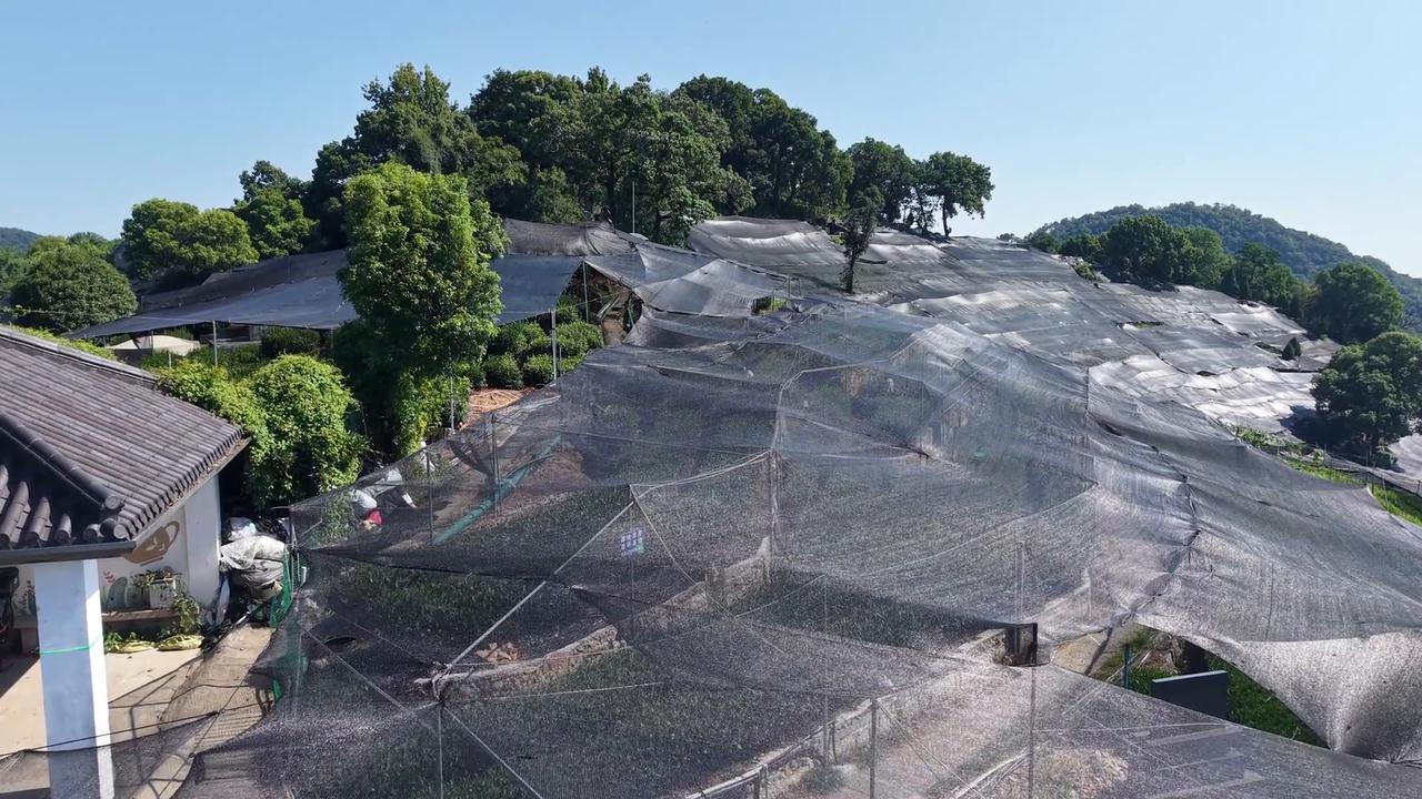 Video thumbnail for China: High-temperature Agriculture.