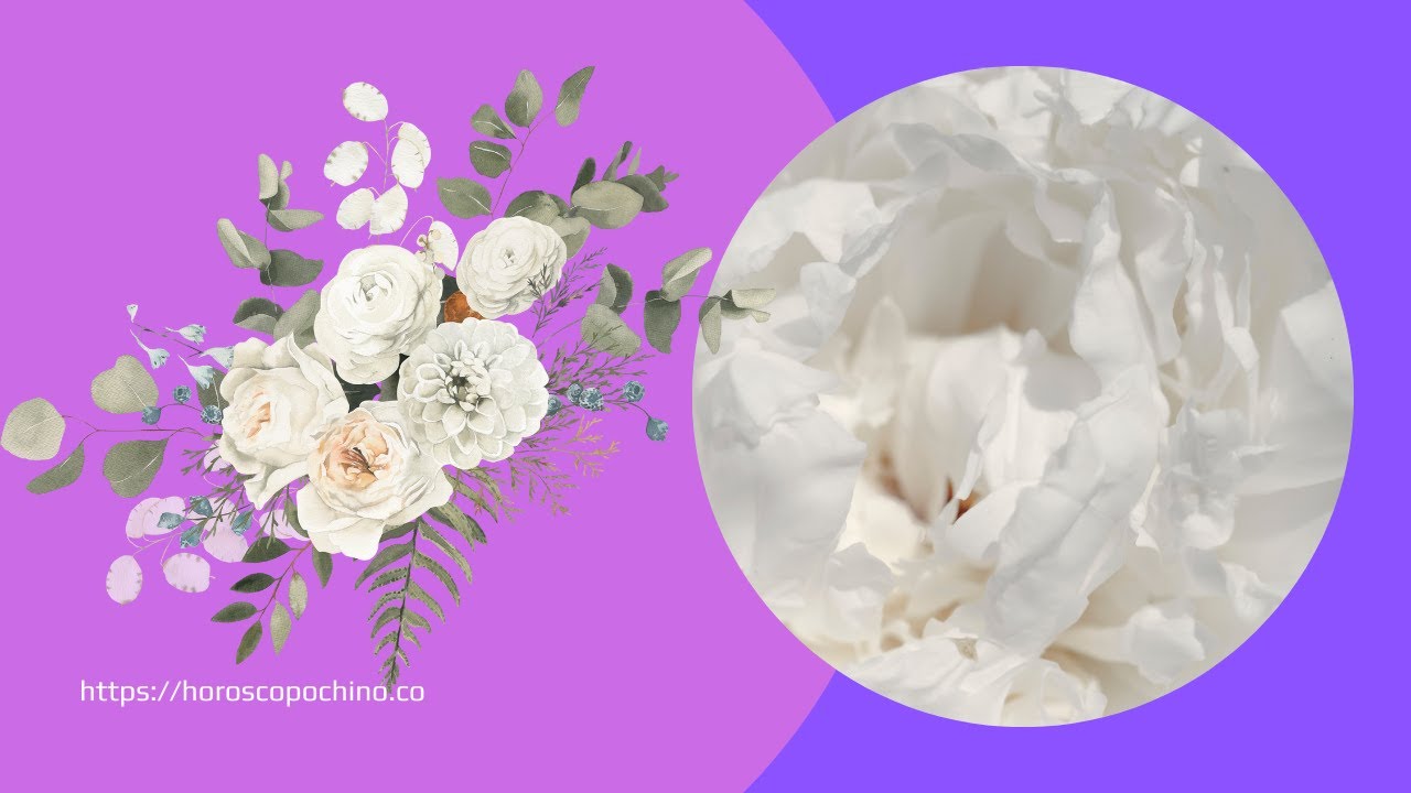 'Video thumbnail for Soñar con flores blancas: video blog'
