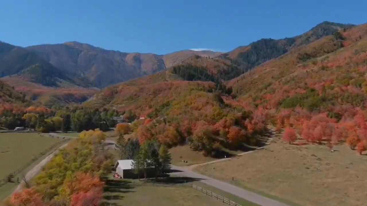 Video thumbnail for US: Fall Foliage Paints Utah’s Spanish Fork Canyon in Red and Gold.