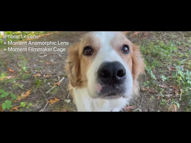 Video thumbnail for Moment Anamorphic Lens Video Test