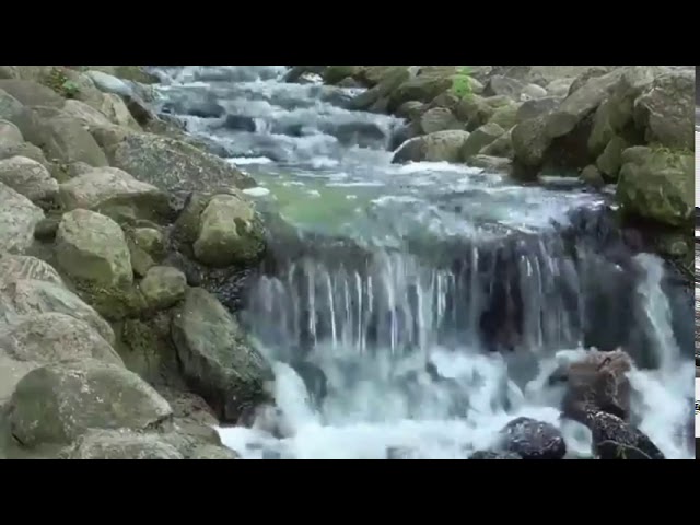 Video thumbnail for Mindfulness para os pensamentos, metáforas e etiquetagem