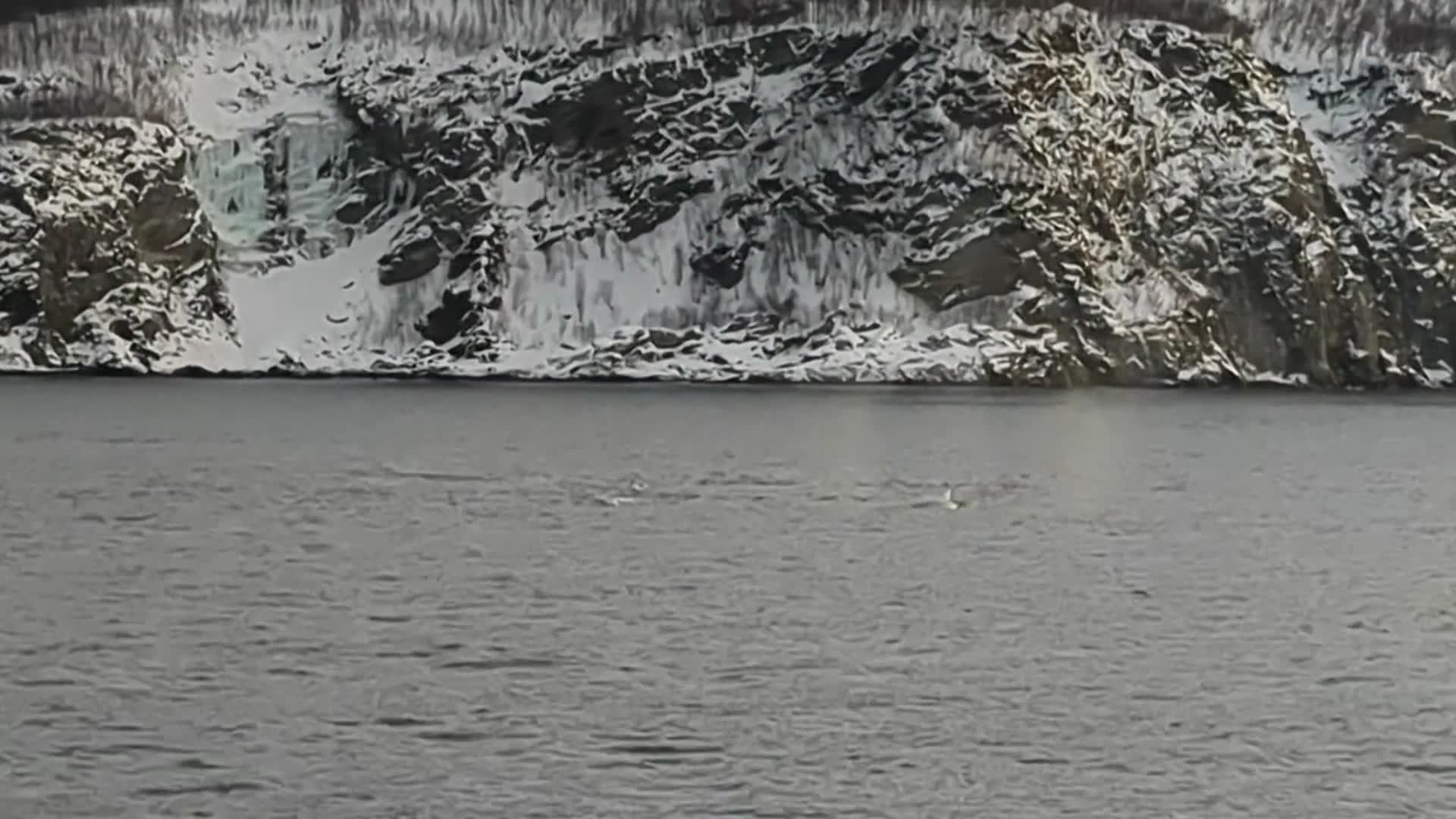 Video thumbnail for Whales Blowing (Part 1)