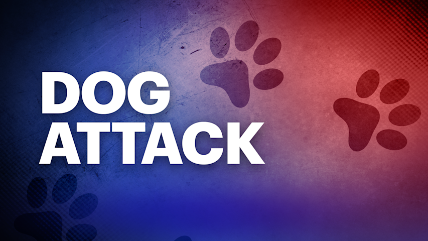 Video thumbnail for Woman attacked by 2 dogs at Valley Stream home