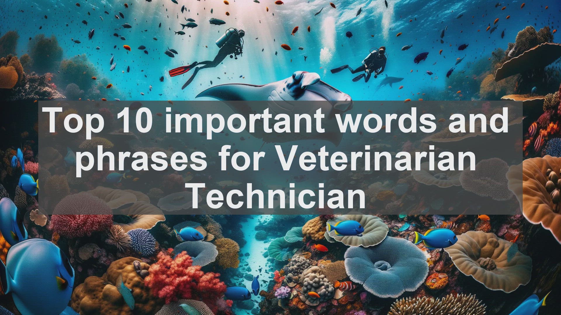 'Video thumbnail for Top 10 important words and phrases for Veterinarian Technician'