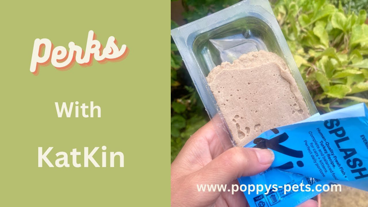 'Video thumbnail for Part 2: KatKins Winter 2023 -  Saver Plan, In-house Panel & 50% off  - and Illness Detecting Litter'