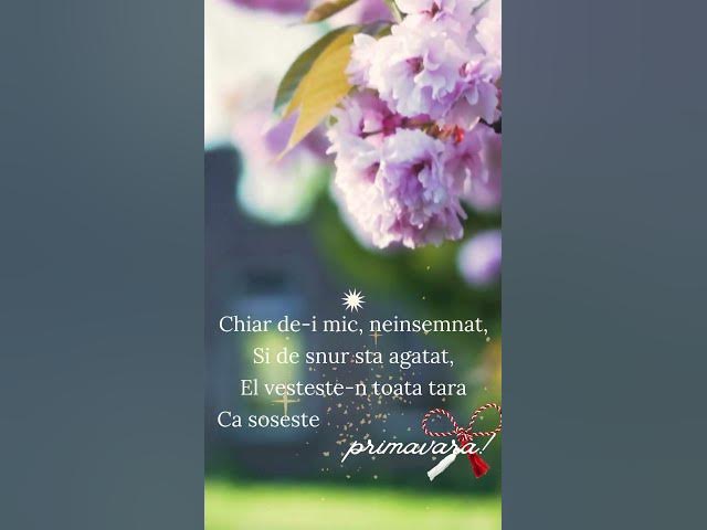 Video thumbnail for O primavara frumoasa, dragi prieteni! #shortvideo