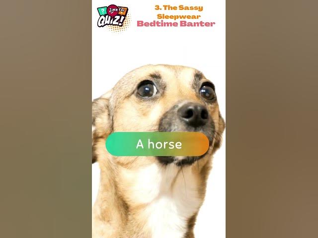 Video thumbnail for 🔥 25 Cheeky Riddles That'll Tickle Your Funny Bone! 😜 | Can You Handle the Wit? 3