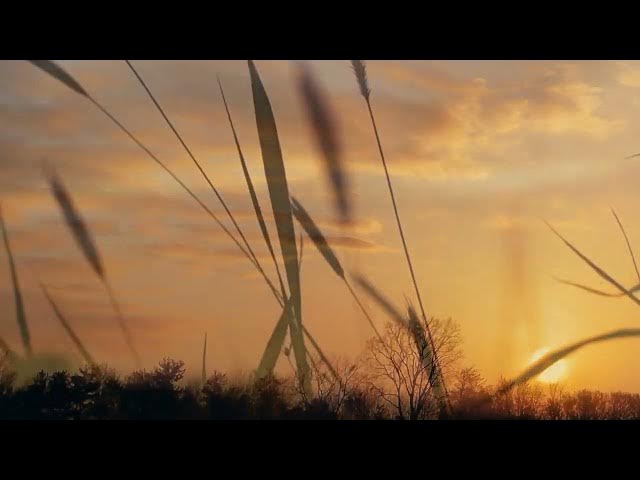 Video thumbnail for Your Front-Row Seat to the Environmental News Revolution