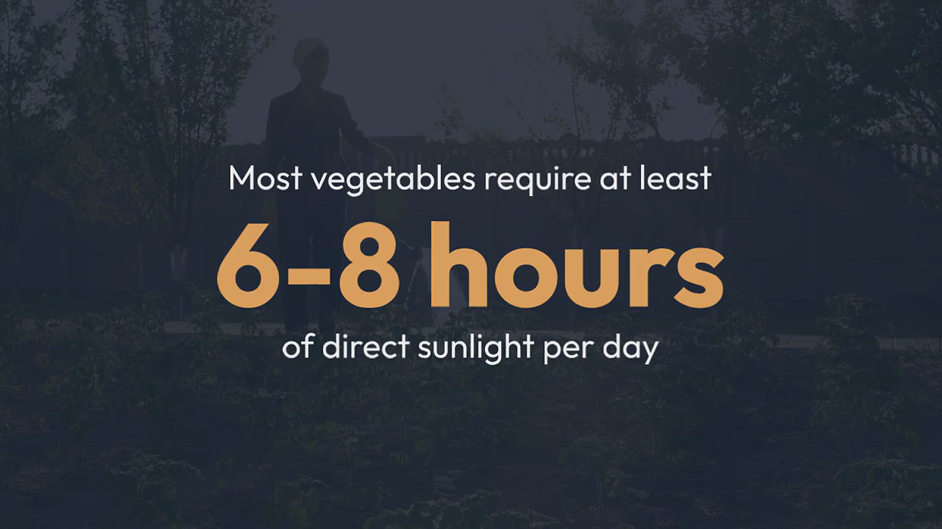 'Video thumbnail for Best Location for Your Vegetable Garden'