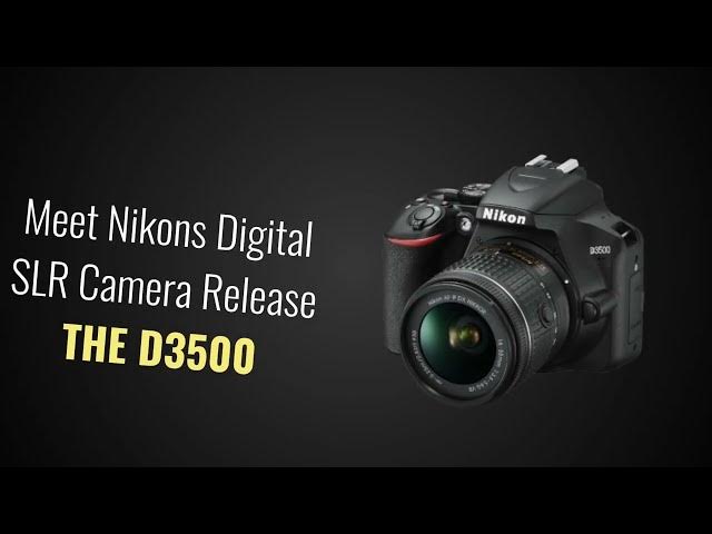 Video thumbnail for Nikon D3500