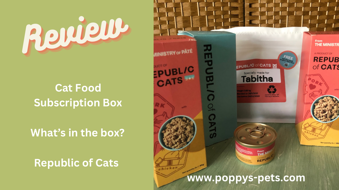 'Video thumbnail for What's in The Box? Adults & Senior Cat Food'