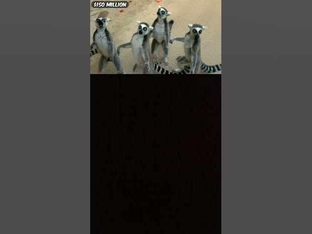 Video thumbnail for 27 February 2024