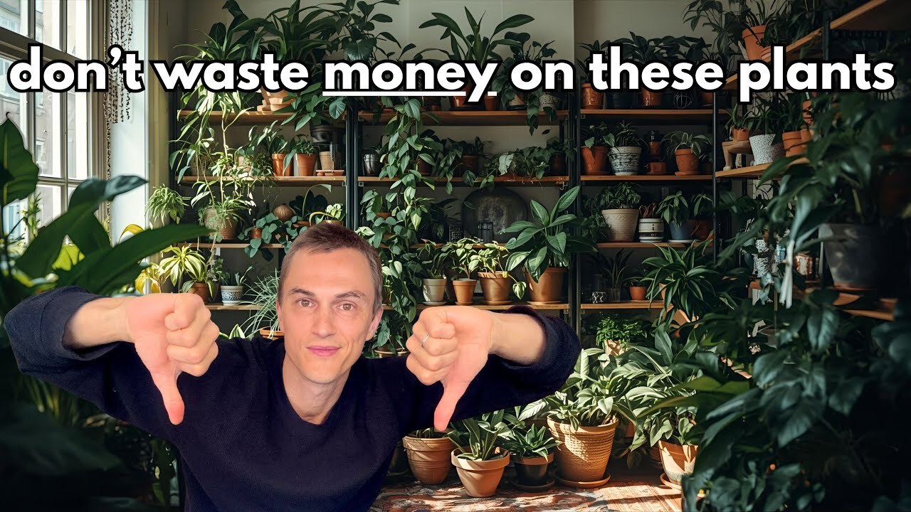 Video thumbnail for 15 BAD Houseplants I will NEVER Grow Again