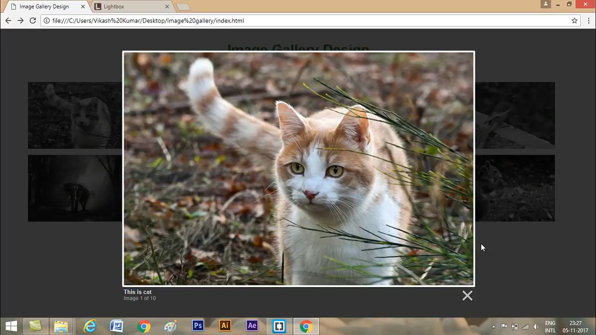 'Video thumbnail for How To Create Image Gallery In HTML, CSS and Javascript _ Lightbox Gallery'