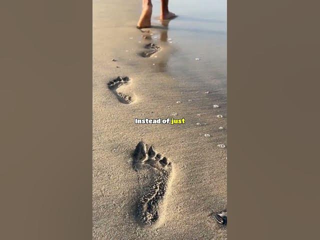 Video thumbnail for What was the moment you lost all respect for a teacher #aitareddit  #redditstories