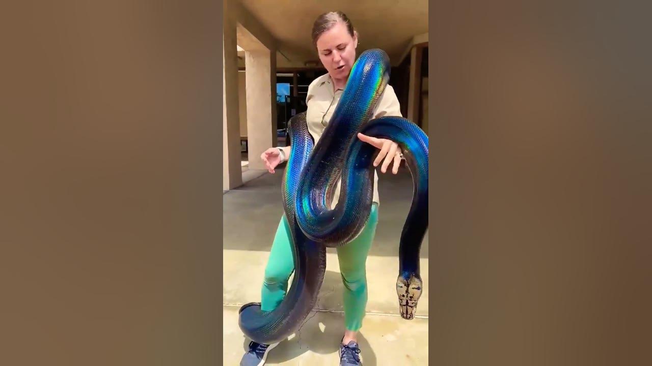 Video thumbnail for you have to see this #unnotikoro24