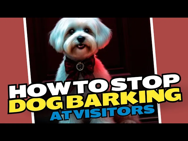 Video thumbnail for How To Stop Dog Barking At Visitors