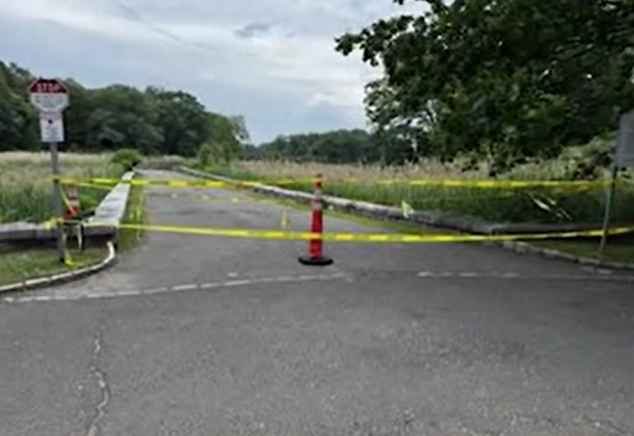 Video thumbnail for Coyotes with pups prompt closure of part of Great Island in Darien