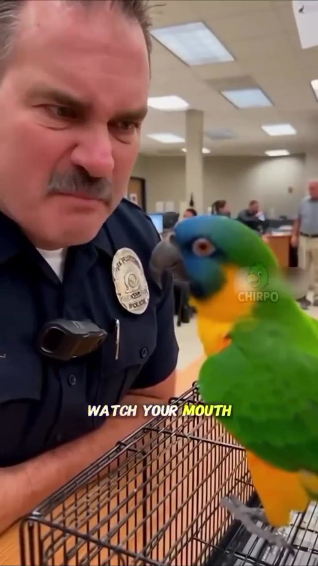 Video thumbnail for The parrot and his doctors appointment