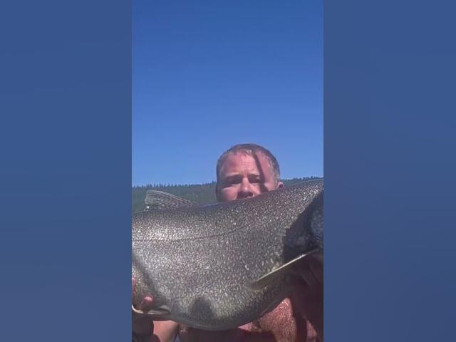 Video thumbnail for Idaho Catch-And-Release Lake Trout Record Broken by Angler Visiting From Utah