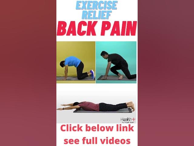 Video thumbnail for Exercise which relief lower back painđĒ #Shorts