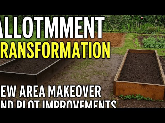 Video thumbnail for 🎥 ✅ Allotment Transformation 🌿 | New Area Makeover and Plot Improvements 🏡✨