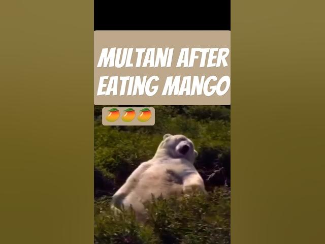 Video thumbnail for After Mango party #mango #fun #memes