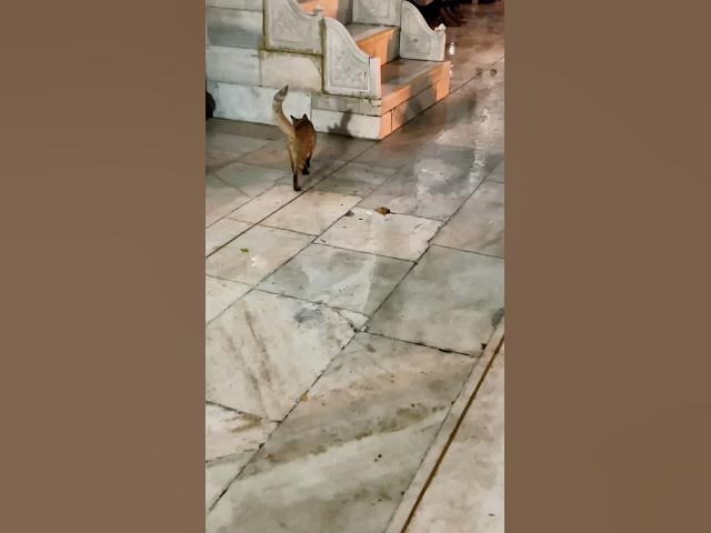 Video thumbnail for #khwaza garib nawaz ki karam ho ga to sab hoga mere bhai