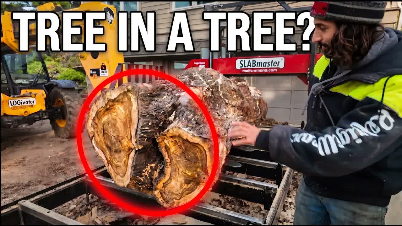 Video thumbnail for Matthew Cremona: I Never Knew Trees Could Do This..