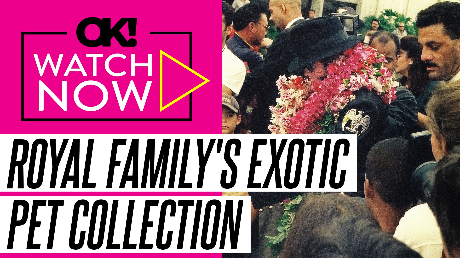 Video thumbnail for How British Royal Family Have Owned Michael Jackson-Style Menagerie of Exotic Pets