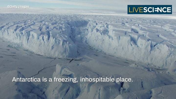 Video thumbnail for Will Antartica Ever Be Habitable?