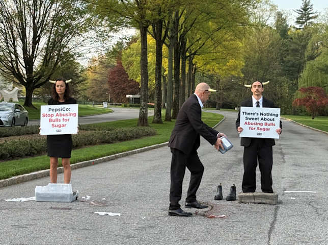 Video thumbnail for PETA protestors call for PepsiCo to stop alleged bull labor in sugar harvesting