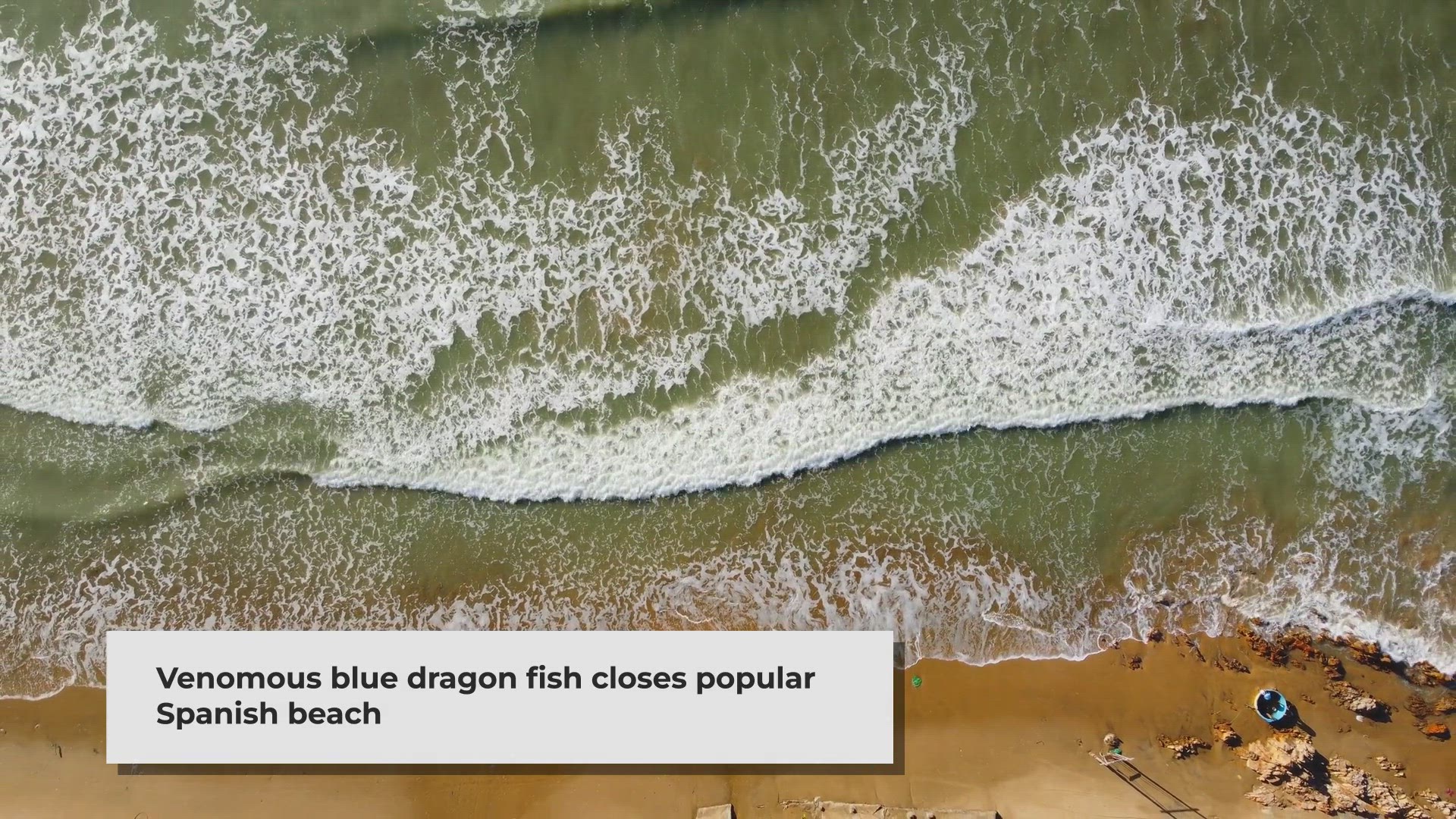 'Video thumbnail for Spanish Beach Closes After Blue Dragon Fish Sighting'