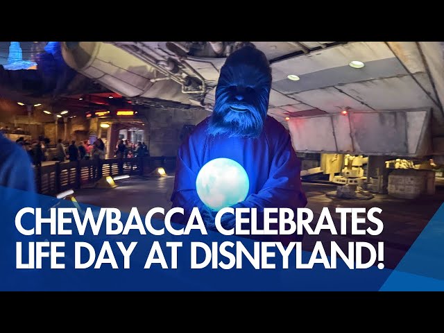 Video thumbnail for Chewbacca in Life Day Robes at Disneyland's Star Wars: Galaxy's Edge