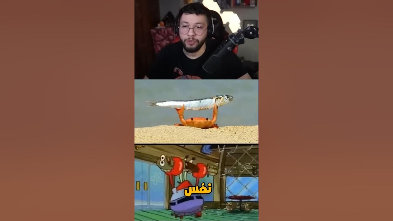 Video thumbnail for مستر سلطع بالحياة الواقعية هههههههههههههه