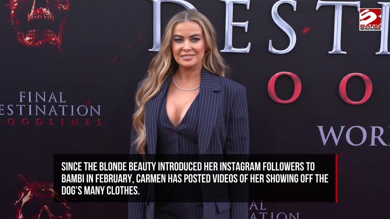 Video thumbnail for Carmen Electra says her dog is giving her serious competition in the fashion department