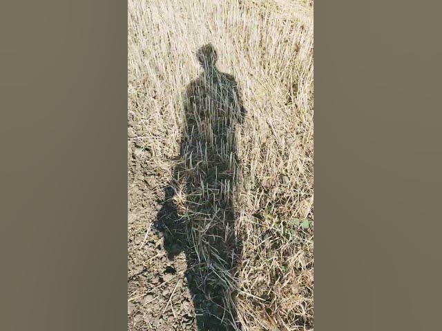 Video thumbnail for 6 March 2026