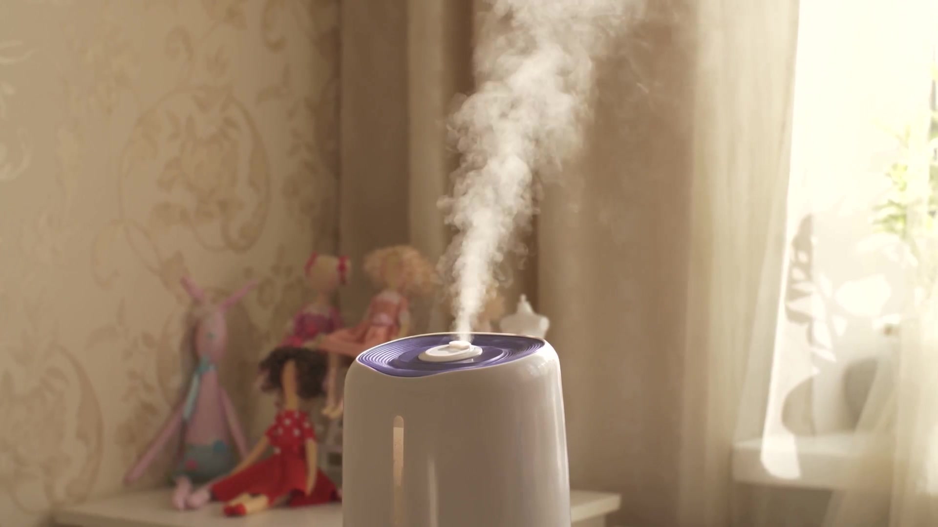 Video thumbnail for Is It Safe to Put Vinegar in a Humidifier?