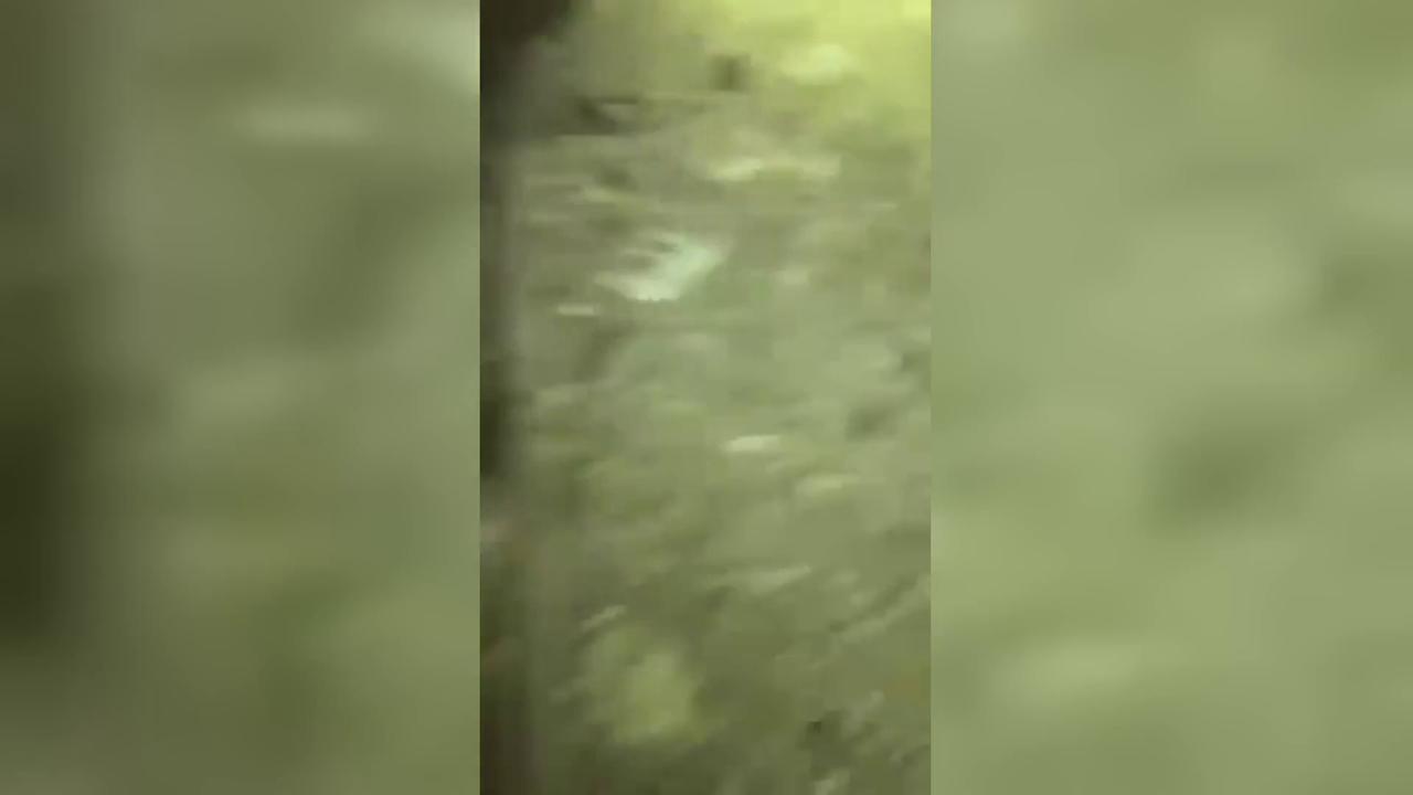 Video thumbnail for Lebanon: Israeli Hits Hezbollah Targets In Lebanese Capital.