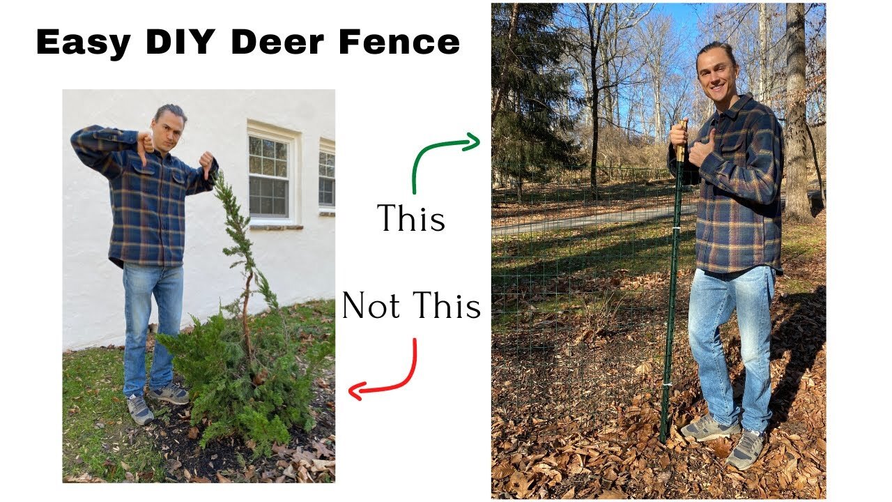 Video thumbnail for DIY DEER FENCE for Small Gardens - Inexpensive & Easy in Under 1 Hour