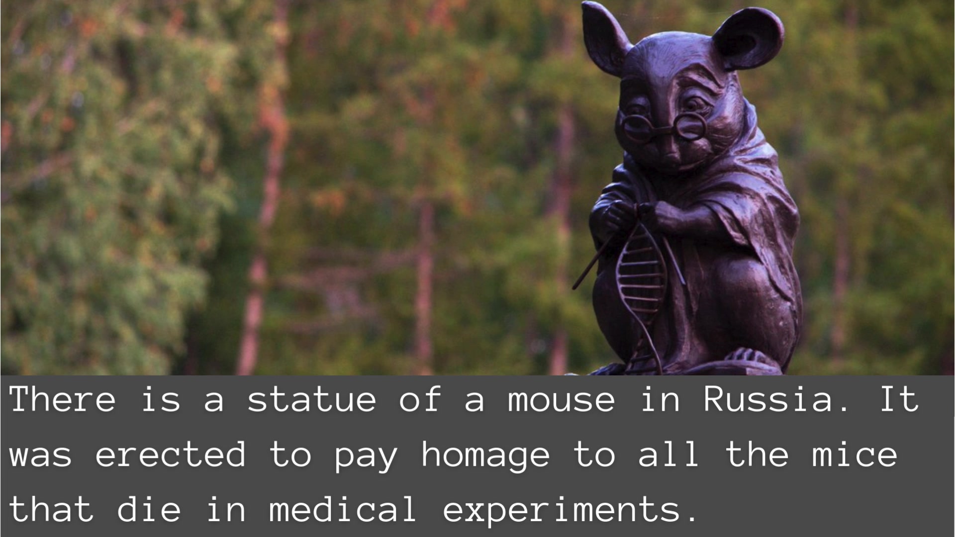 Video thumbnail for Get Your Mind Blown With These Facts